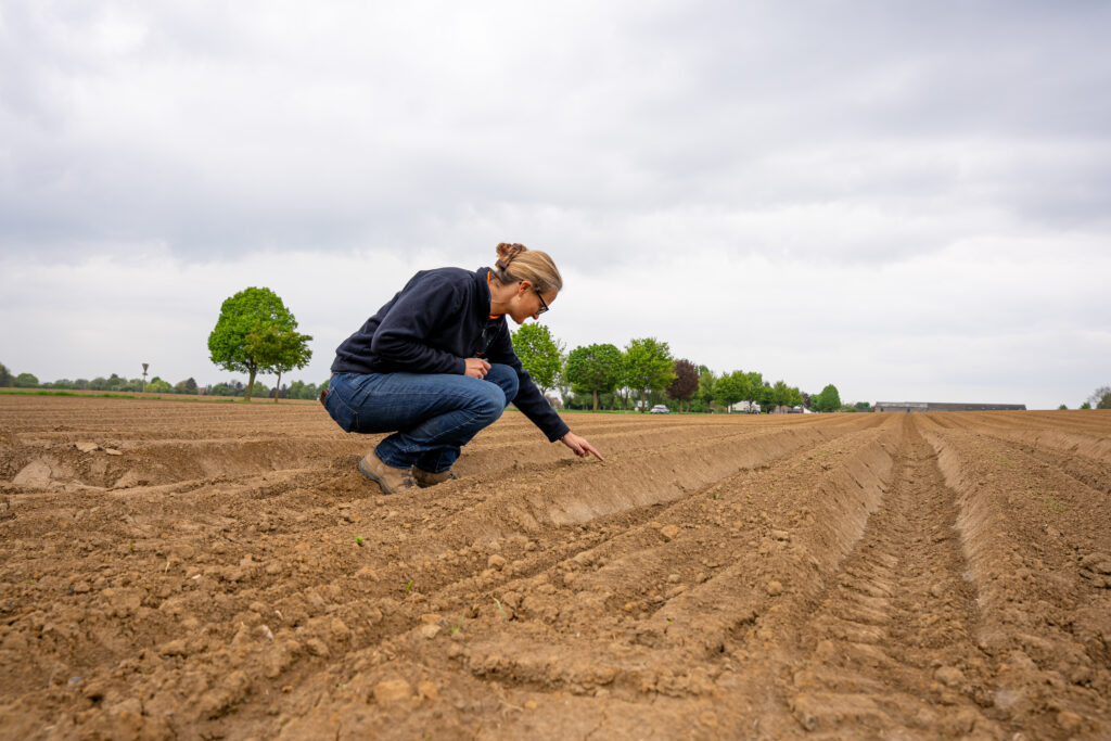 Rue de Liège, 70
4317 Faimes
0472 90 21 14
www.belgobio.com
