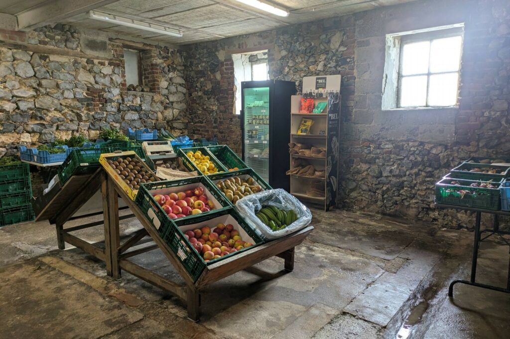 Rue des Combattants 215,
4360 Oreye
0455 17 68 45
http://www.fermedelachapelle.com/